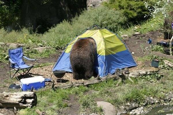 Situation In Ukraine With One Picture (600x400 66kb)