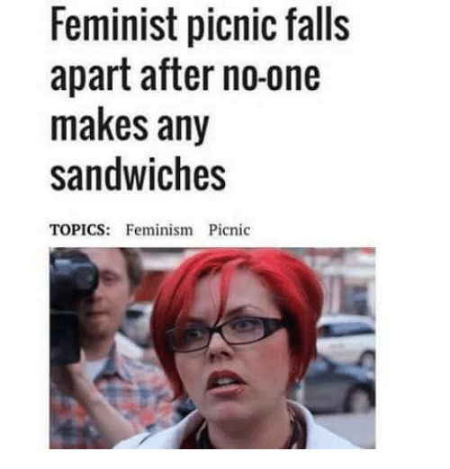 Feminist Sandwich (500x522 91kb)