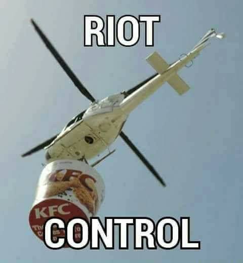 Riot Control (480x519 17kb)