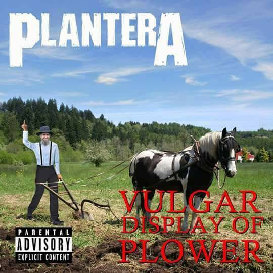 Plantera (540x540 48kb)