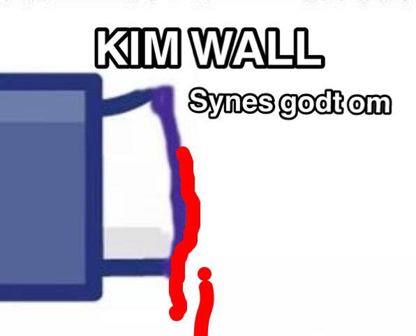 Kim Wall (596x482 19kb)