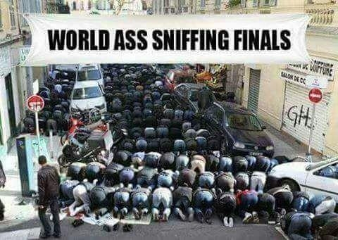 World Ass Sniffing Finals (480x341 116kb)